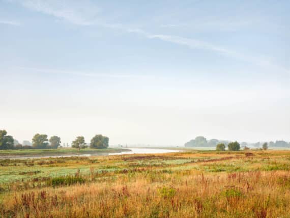 River IJssel, near Brummen, 2020, print size 57x76cm