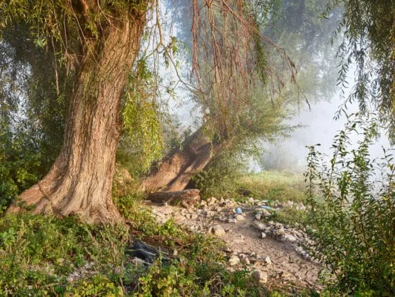 River IJssel, near Dieren, 2020, print size 69x92cm