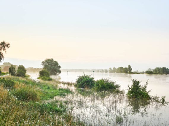 River IJssel, Wilpsche Klei, 2021, print size 69x92cm