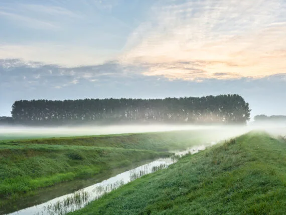 River IJssel #06, 2021, print size 84x112cm