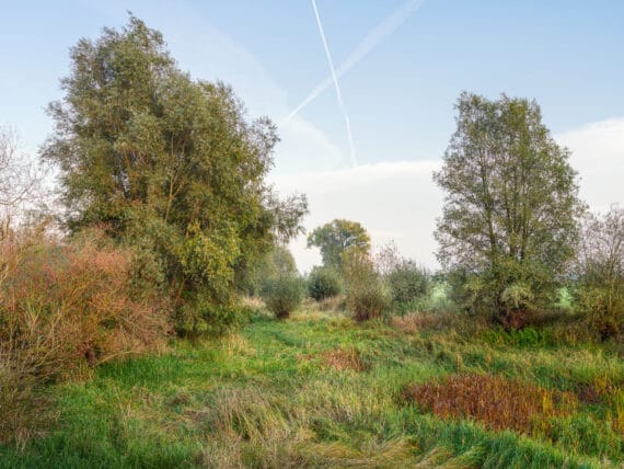 River IJssel #08, 2022, print size 57x76cm