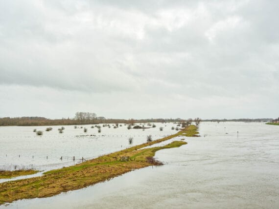 River IJssel #09, 2023, print size 69x92cm