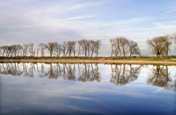 Rivierenland: de Bizonbaai, Ooijpolder, 2019